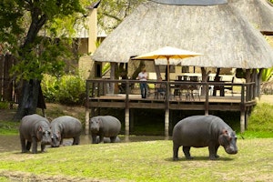 Arathusa Safari Lodge image 1