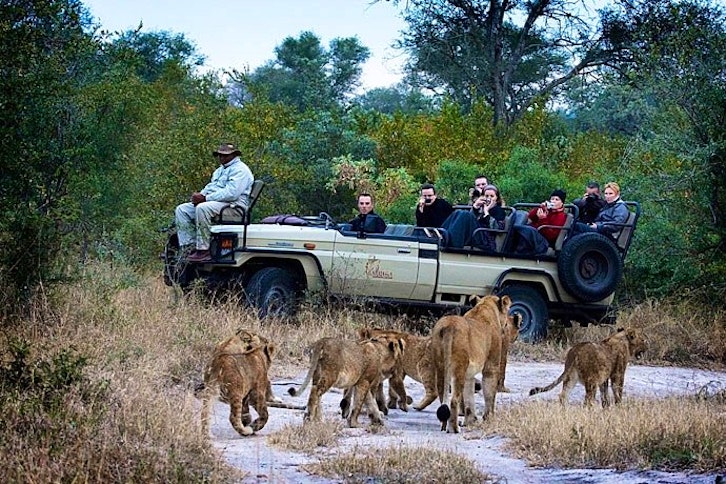 Arathusa Safari Lodge Activity 