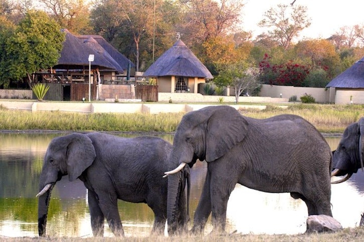 Arathusa Safari Lodge