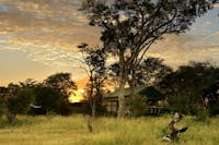 Bomani Tented Camp