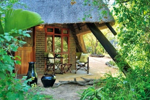 Cheetah Plains image 1