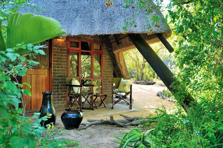 Cheetah Plains Suite