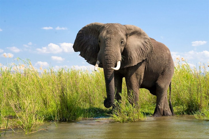 Chongwe River House 8