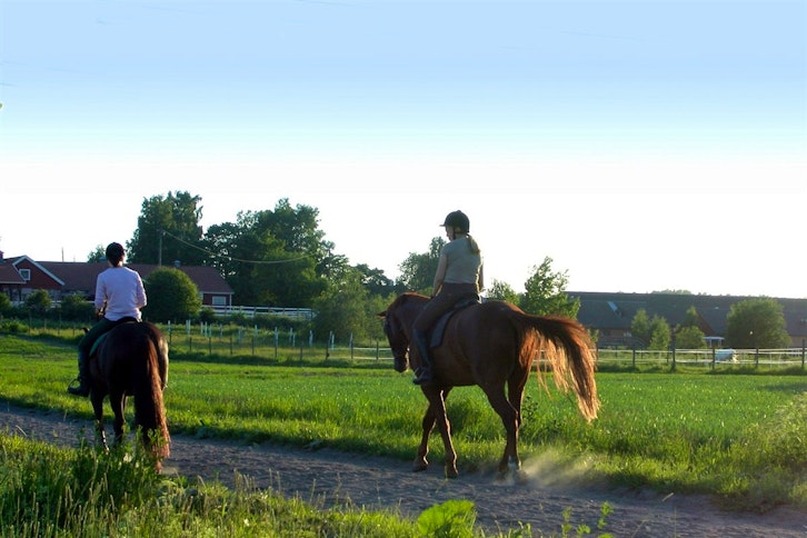 Franschhoek Country House & Villas