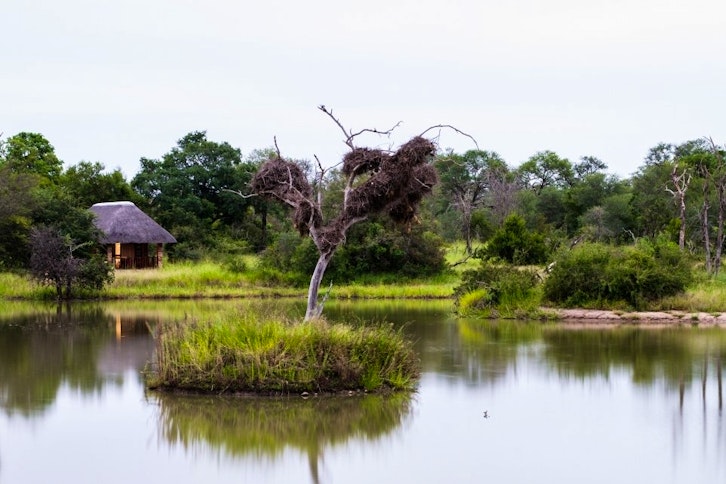 Gomo Gomo Game Lodge 11