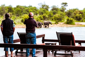 Gomo Gomo Game Lodge image 1