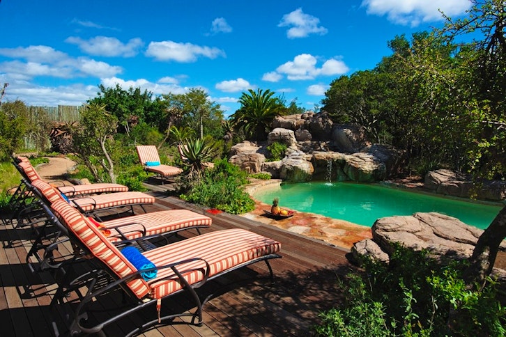 Kariega Game Reserve 11