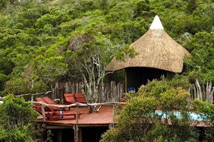 Lalibela Game Reserve image 1