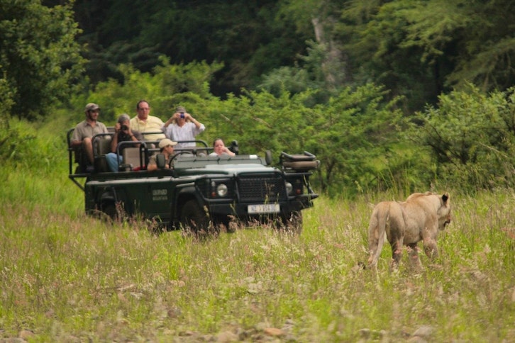 Leopard Mountain Game Lodge 