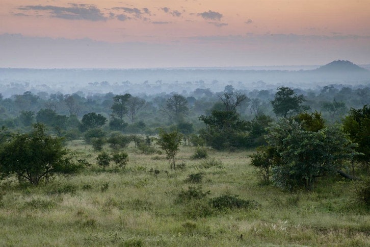 Londolozi Tree Camp 11