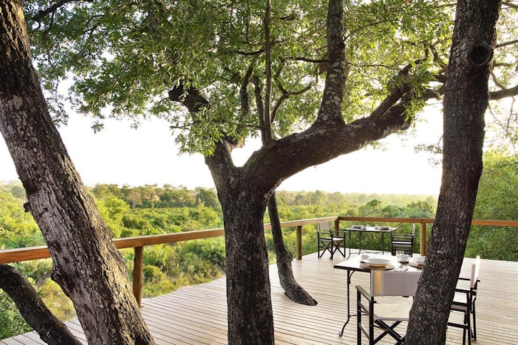 Londolozi Tree Camp