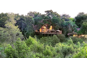 Londolozi Varty Camp image 1