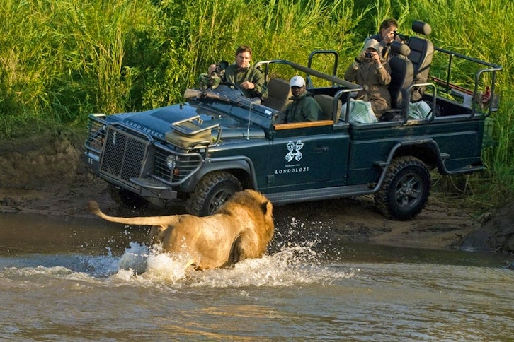 Londolozi Varty Camp