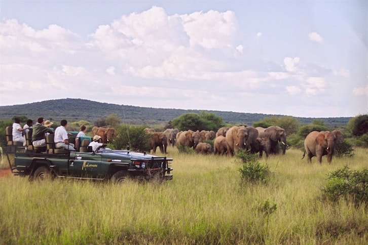 On Safari At Makanyane Safari Lodge