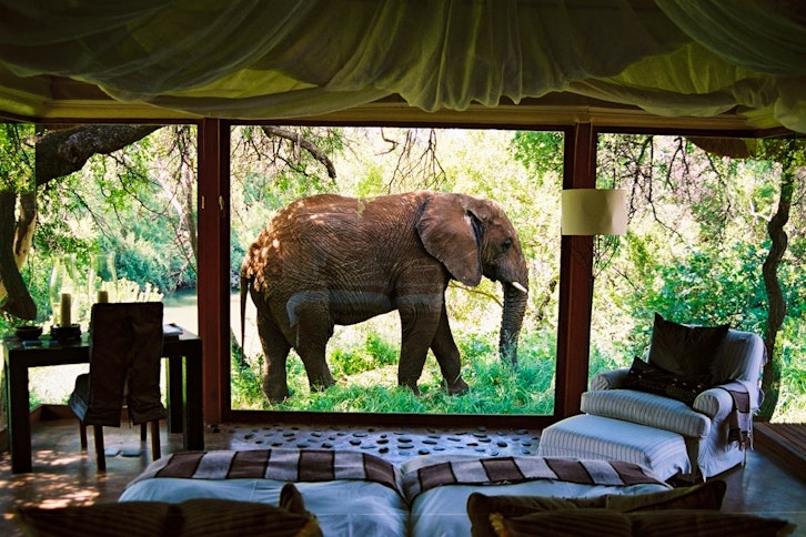 Makanyane Safari Lodge Suite