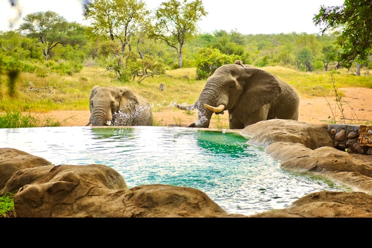 Motswari Private Game Reserve