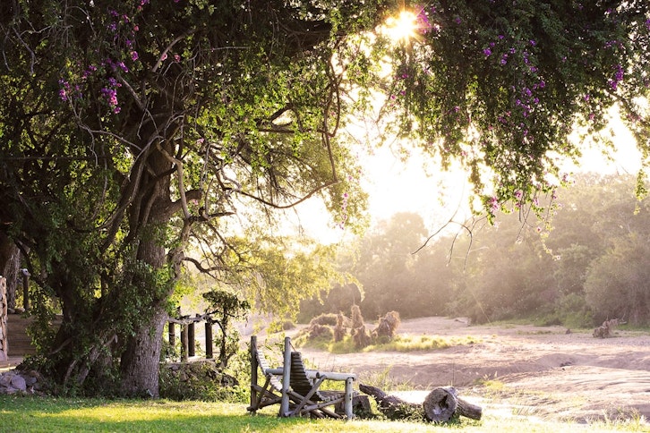 Motswari Private Game Reserve