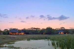 Phinda Game Reserve image 1