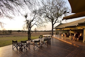 Rhino Walking Safaris image 1