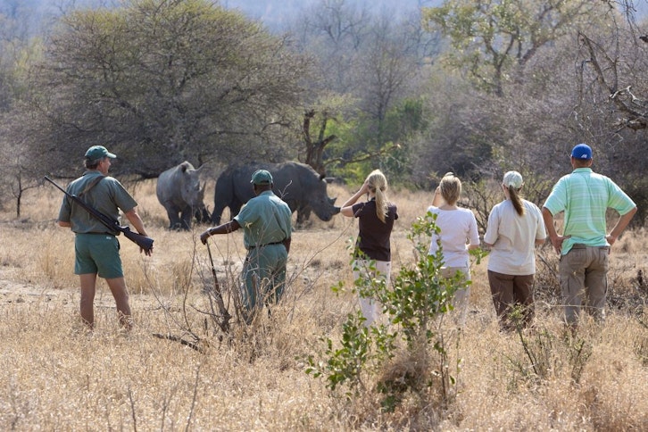 Rhino Walking Safaris
