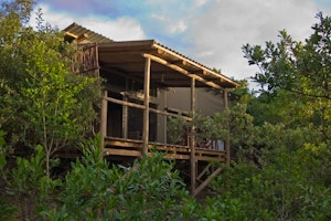 Rocktail Beach Camp image 1