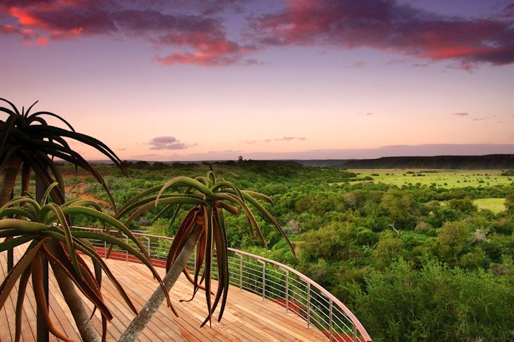 Shamwari Game Reserve 12