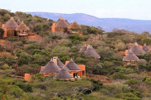 Thanda Private Game Reserve image 1