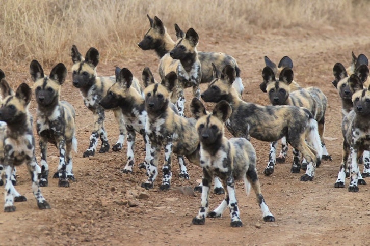 Royal Private Villa Bedroom