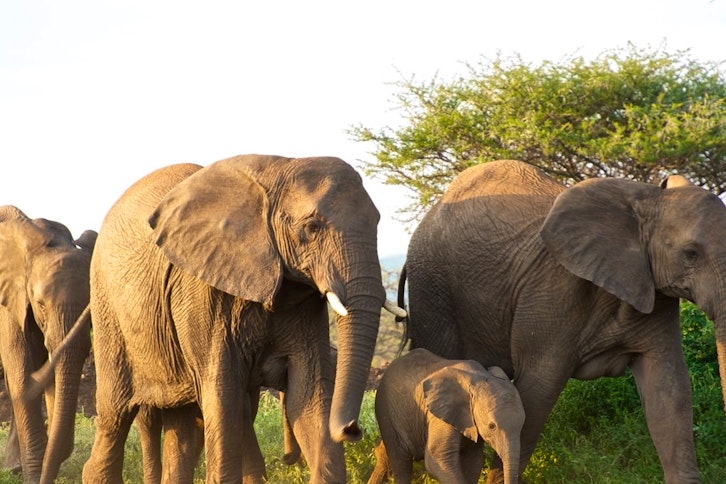 Royal Private Villa Deck