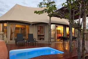 The Elephant Camp image 1