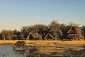 The Hide Safari Camp image 1