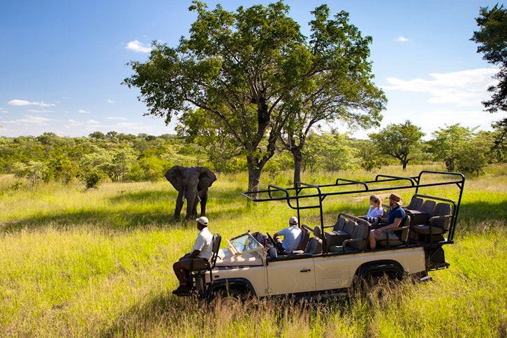 Ulusaba Private Game Reserve 9
