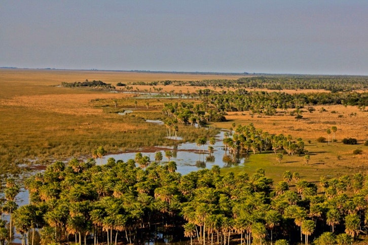 The vast Ibera Wetlands