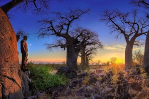 Belmond Luxury Safari Lodge - Botswana At Its Best image 1