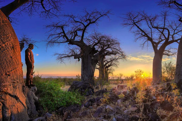 Belmond Luxury Safari Lodge - Botswana At Its Best image 1