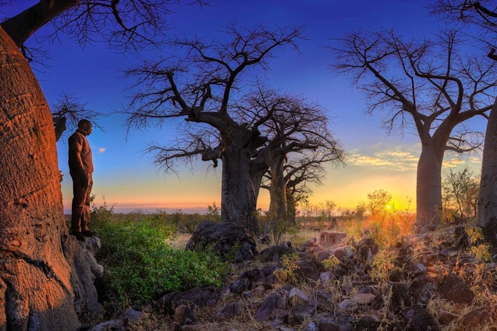 Belmond Luxury Safari Lodge - Botswana At Its Best