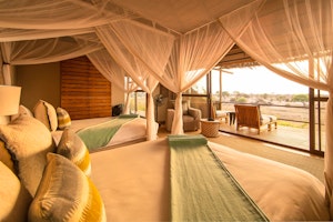 Botswana Conservation & Community image 1