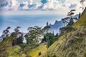 Cape Town and St Helena Combination image 1