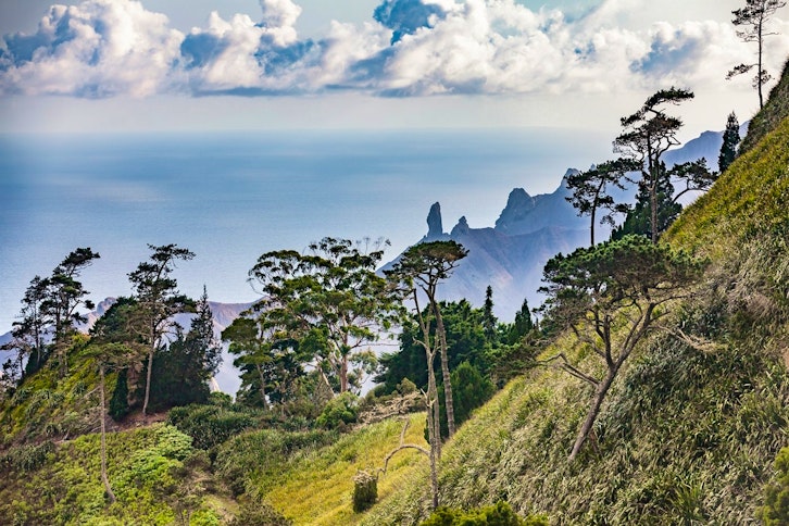 Cape Town and St Helena Combination