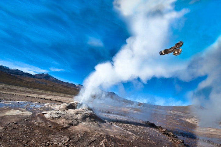 El Tatio geysers, Atacama Desert