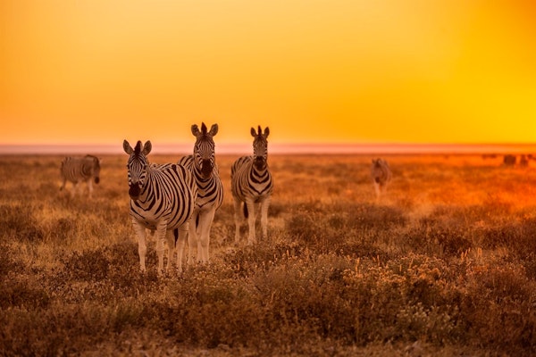 Classic Namibia Self-Drive Holiday image 1