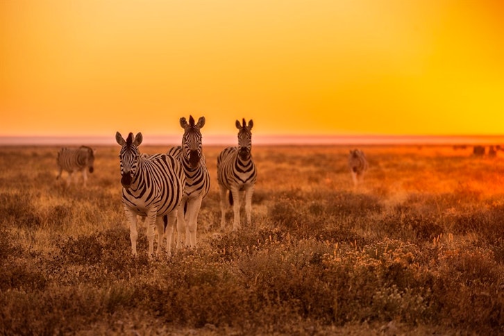 Classic Namibia Self-Drive Holiday