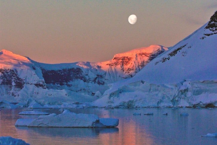 Complete Antarctica, Falkland Islands & South Georgia