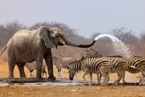 Discover Namibia Lodge-Based Small Group Tour