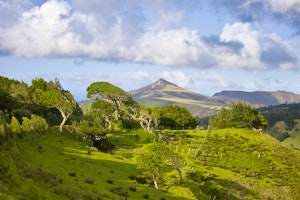 Discover Saint Helena image 1