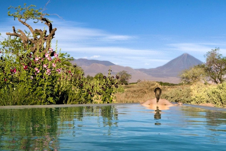 Tierra Atacama pool