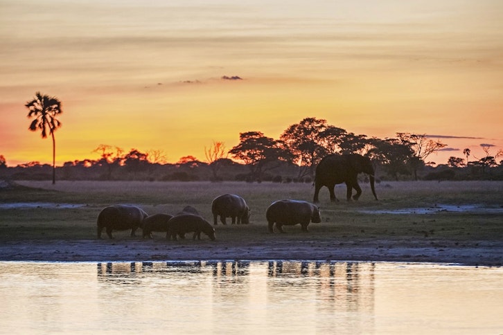 Hwange National Park