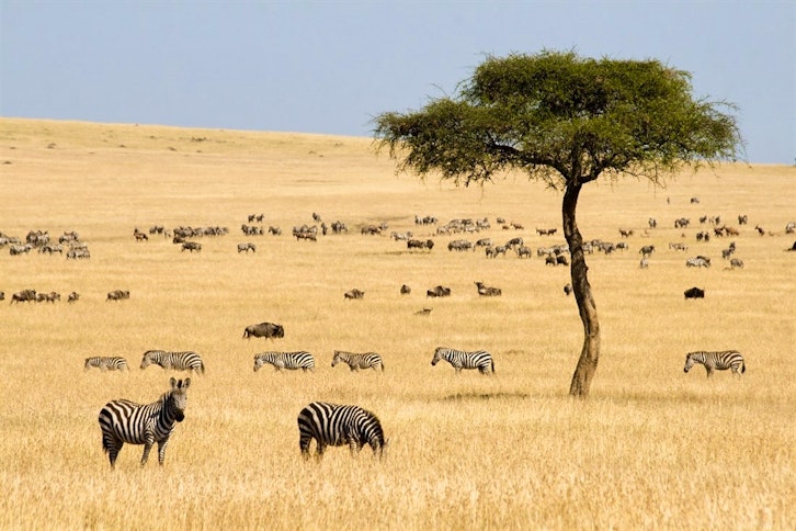 Exclusive Kenya Safari & Beach Holiday