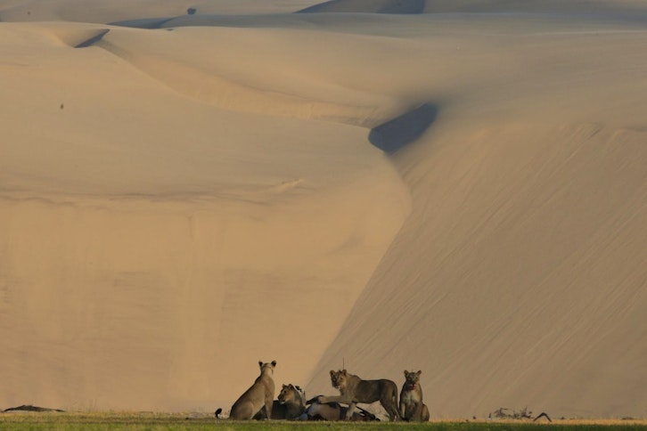 Namib Desert's impressive sand dunes