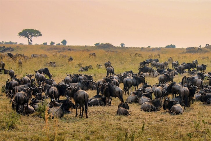 Praslin Island, Seychelles